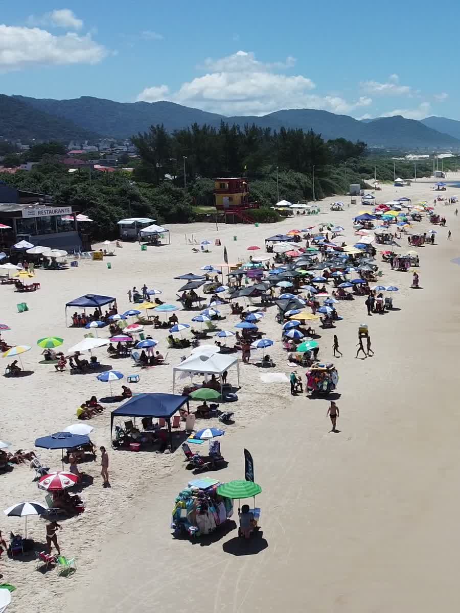 Busy summer day on a Florianópolis beach with umbrellas and green hills behind
